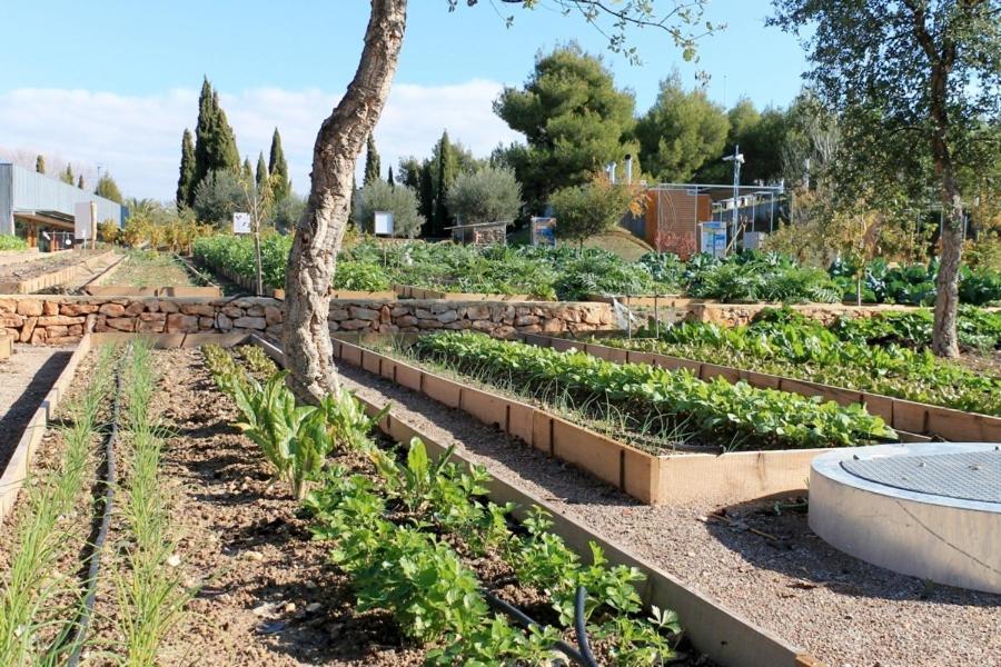Centro De Agroecologia Y Medio Ambiente De Murcia Bullas Exteriér fotografie