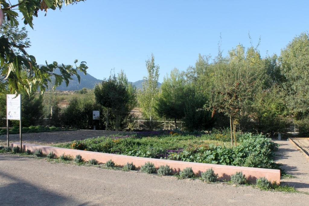 Centro De Agroecologia Y Medio Ambiente De Murcia Bullas Pokoj fotografie