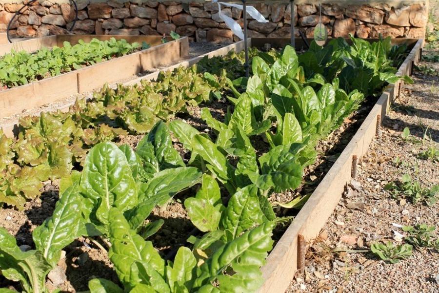 Centro De Agroecologia Y Medio Ambiente De Murcia Bullas Exteriér fotografie