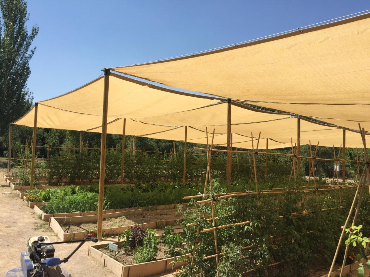 Centro De Agroecologia Y Medio Ambiente De Murcia Bullas Exteriér fotografie