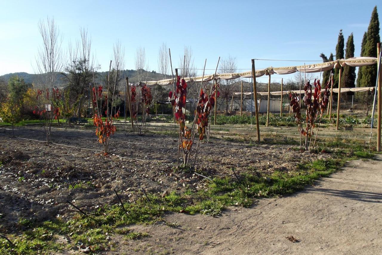 Centro De Agroecologia Y Medio Ambiente De Murcia Bullas Exteriér fotografie