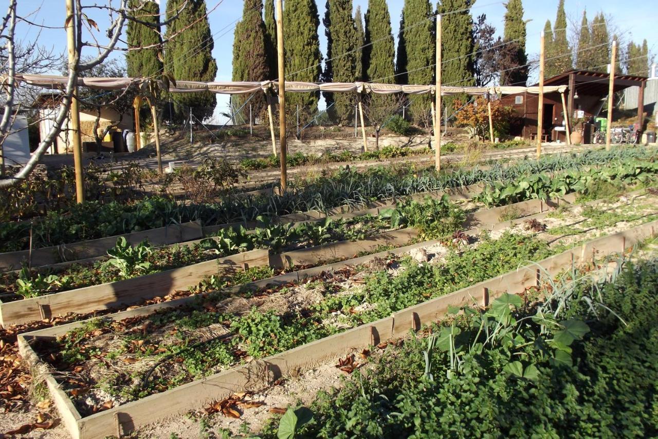 Centro De Agroecologia Y Medio Ambiente De Murcia Bullas Exteriér fotografie